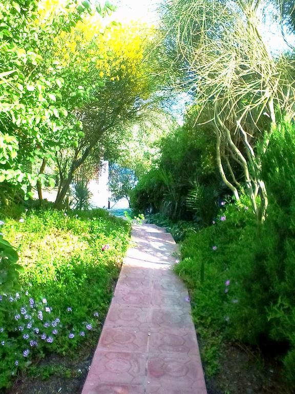 Irini Studios Plomari Ngoại thất bức ảnh